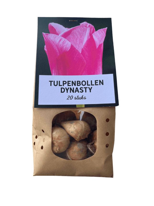 Tulpenzwiebeln 'Dynasty' – 20 Blumenzwiebeln – Frühlingsblumen für Beet & Topf – Pflegeleicht & winterhart – Hochwertige Blumenzwiebeln (Plant) kaufen bei Linkreich – Jetzt entdecken!