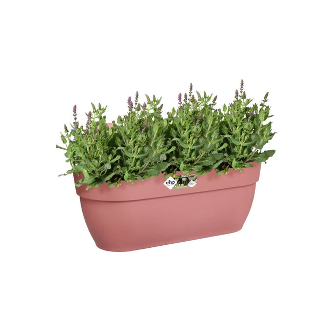 Elho Vibia Campana Blumenkasten mit Aufhänger – Groß – Puderrosa ca,46cm