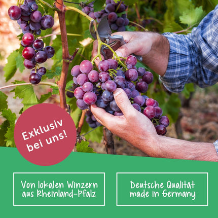 SEO. Weinflasche Riesling Tandem (6 x 0.75 l) - Rosé Linkreich