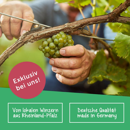 SEO. Weinflasche Riesling Tandem (6 x 0.75 l) - Weißwein Linkreich