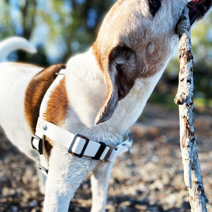 Anti-Stress-Geschirr STURMFREI®, Größe M