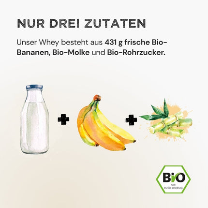 SEO. Whey Protein - Banana - 320 g Linkreich