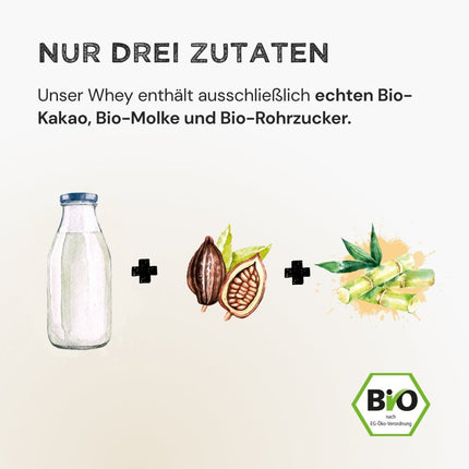 SEO. Whey Protein - Cacao - 320 g Linkreich