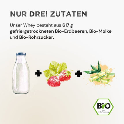 SEO. Whey Protein - Strawberry - 320 g Linkreich