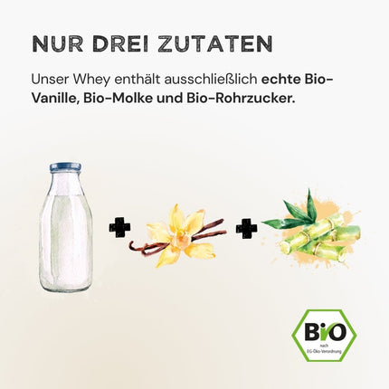 SEO. Whey Protein - Vanilla - 320 g Linkreich