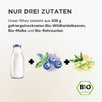 SEO. Whey Protein - Wild Blueberry - 320 g Linkreich