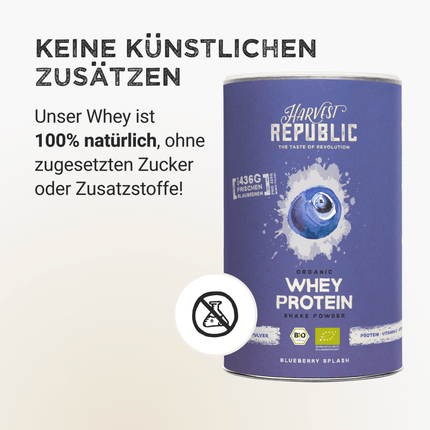 SEO. Whey Protein - Wild Blueberry - 320 g Linkreich