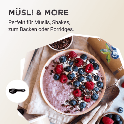 SEO. Whey Protein - Wild Blueberry - 320 g Linkreich