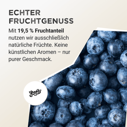 SEO. Whey Protein - Wild Blueberry - 320 g Linkreich