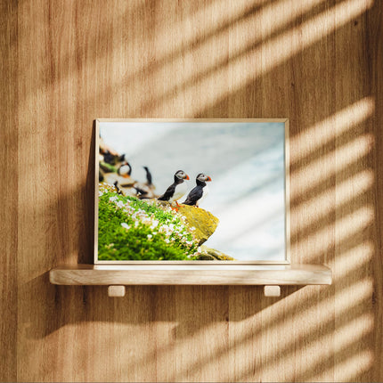 Puffins on Saltee Island – Irish Coastal Wildlife Wall Art