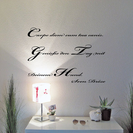 SEO. Wohnmobil Aufkleber: Carpe diem cum tua canis - 100x65cm Linkreich