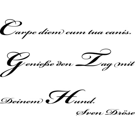 SEO. Wohnmobil Aufkleber: Carpe diem cum tua canis - 100x65cm Linkreich