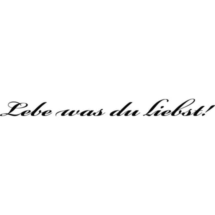 SEO. Wohnmobil Aufkleber: Lebe was Du liebst - 100x8cm Linkreich