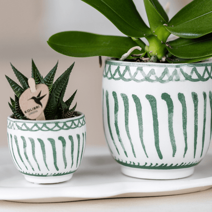 Wolkenteller Ovales Tablett – Weiß – Ø30cm – Dekotablett aus Metall für Orchideen, Pflanzensets & Wohnaccessoires – Modernes Deko - Tablett für stilvolle Raumgestaltung im Wohnzimmer, Schlafzimmer & Büro (Plant) kaufen bei Linkreich – Jetzt entdecken!