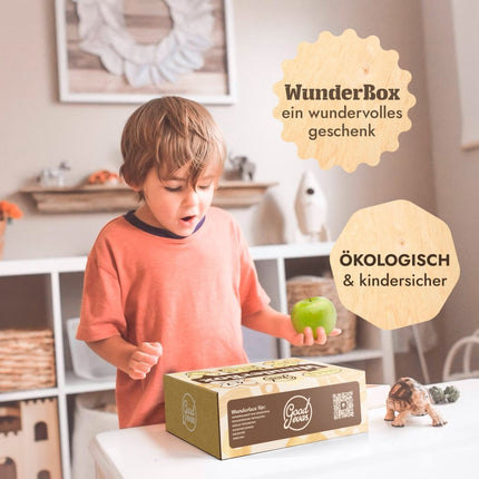 WunderBox 4 - 7 Jahre - Entwicklung im Spielformat (WunderBox) kaufen bei Linkreich – Jetzt entdecken!