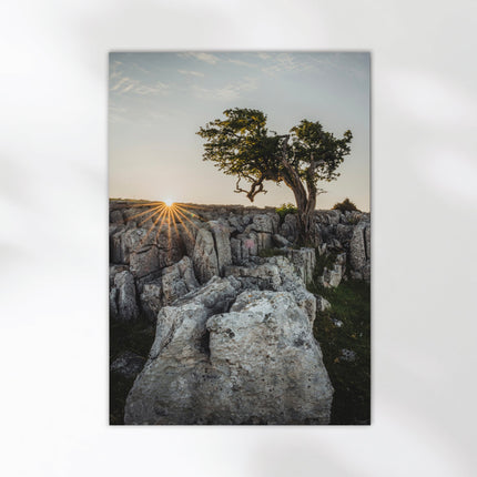 Twisleton Scars Sunrise Print – Yorkshire Dales Landscape Photography