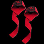 Rot